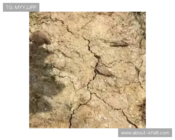 永乐国际PA：用户体验提升的关键因素与实用技巧